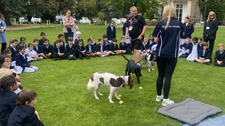 students looking at dogs